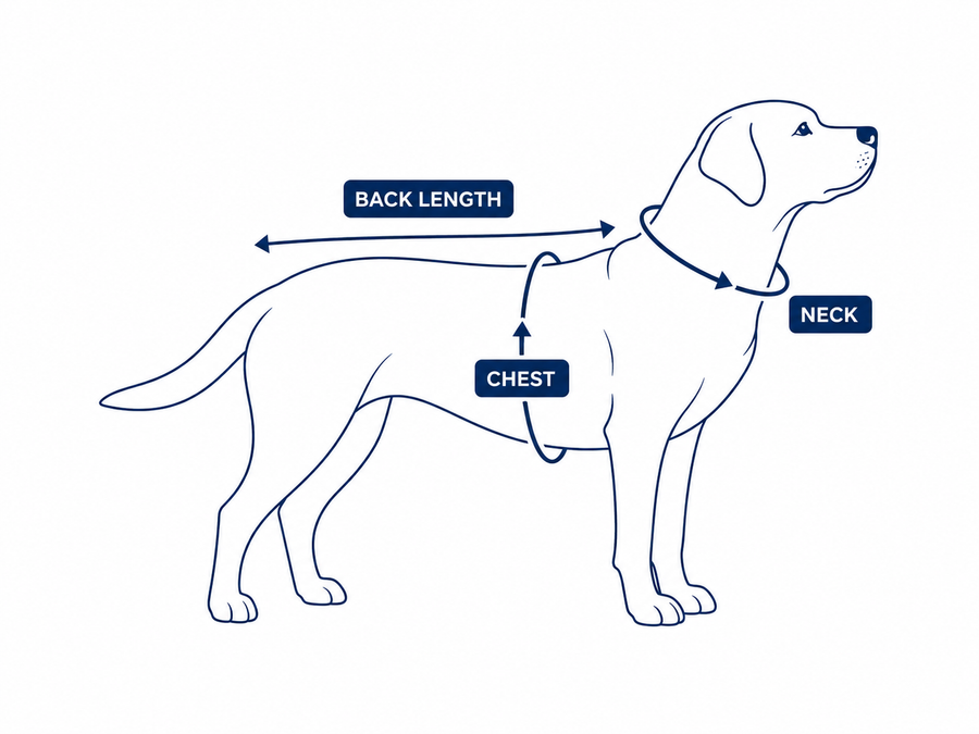 How to measure your dog