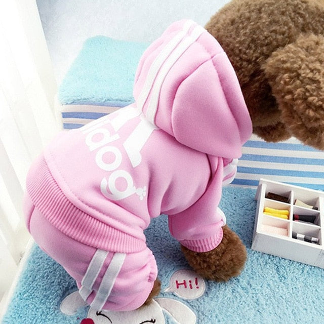 Puppy 'Adidog' suit