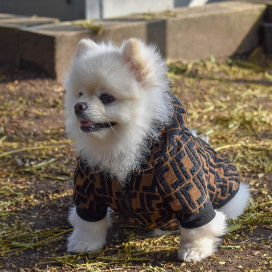 Autumn Winter Fashion Coat