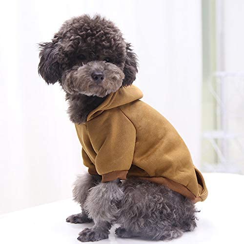 Winter Dog Hoodies
