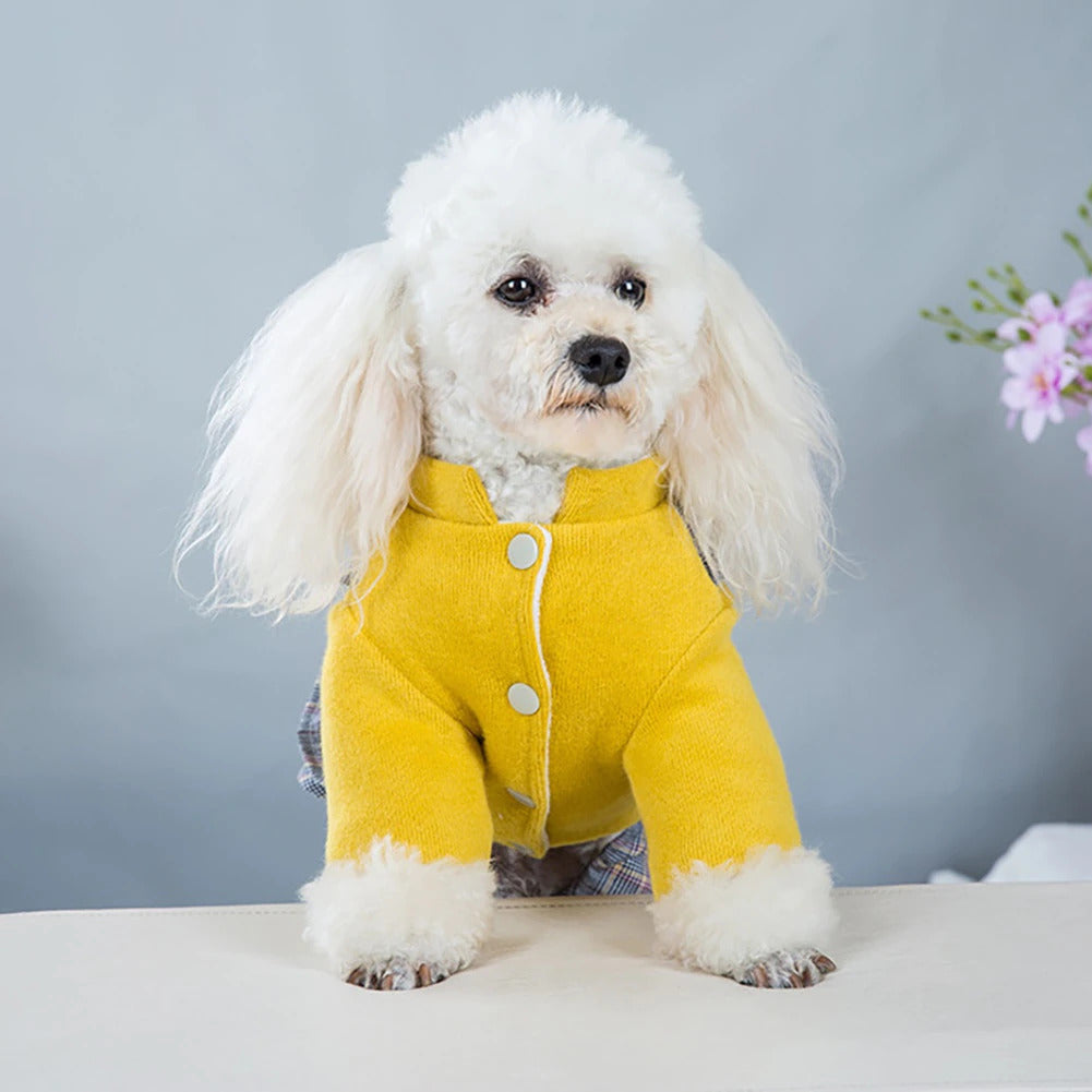 Fashionable Dog Overall