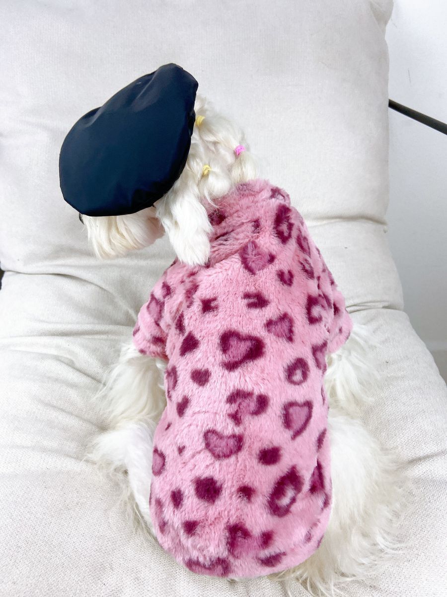 Teddy Cotton Dog Hoodie