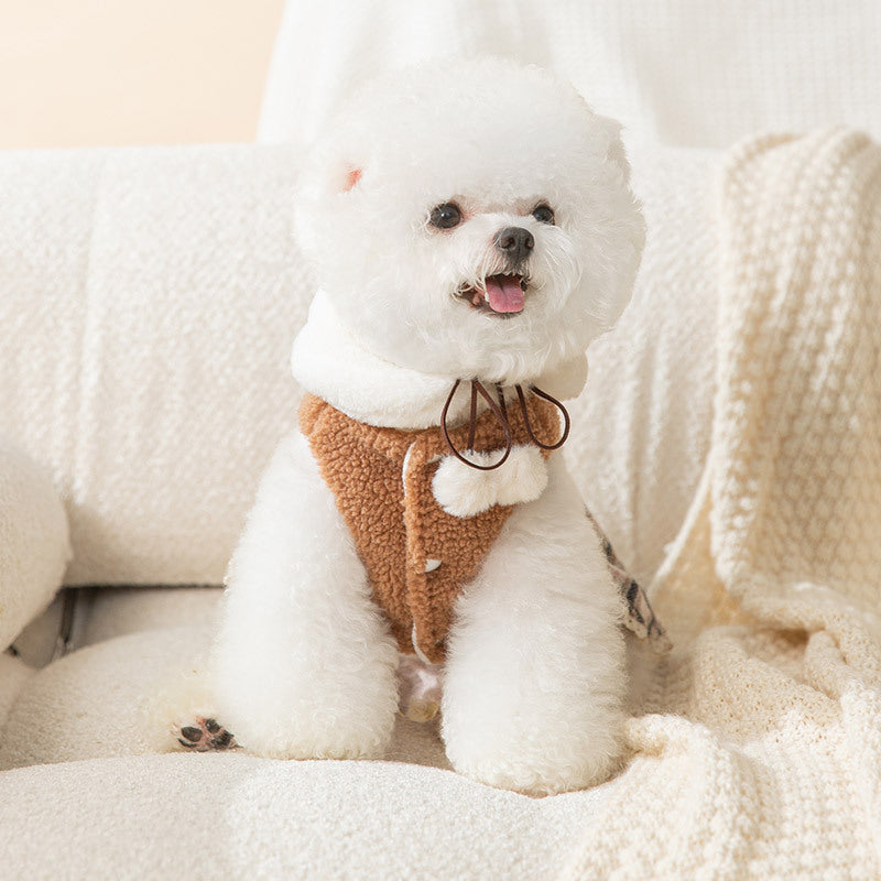 Winter Dog Coat With Scarf