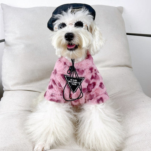 Teddy Cotton Dog Hoodie