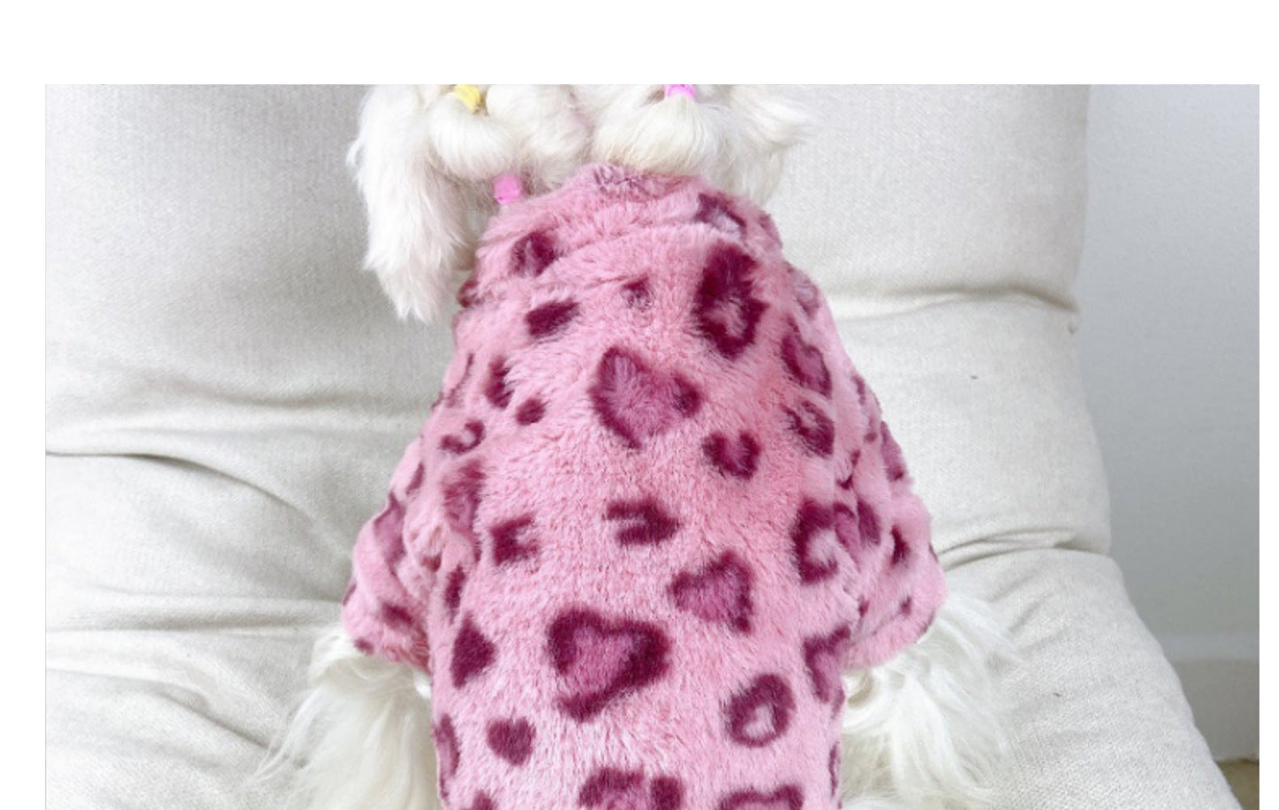Teddy Cotton Dog Hoodie