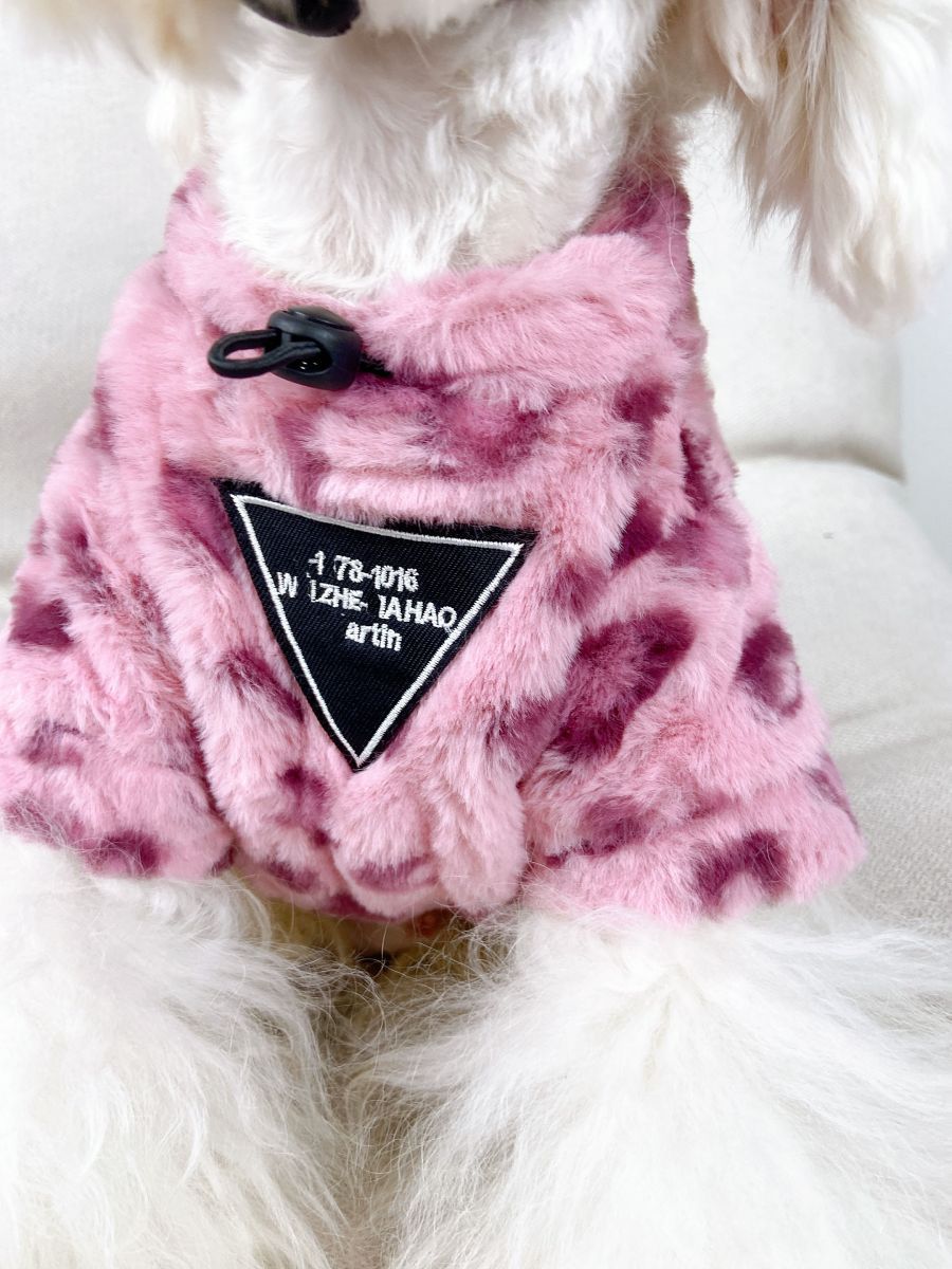 Teddy Cotton Dog Hoodie