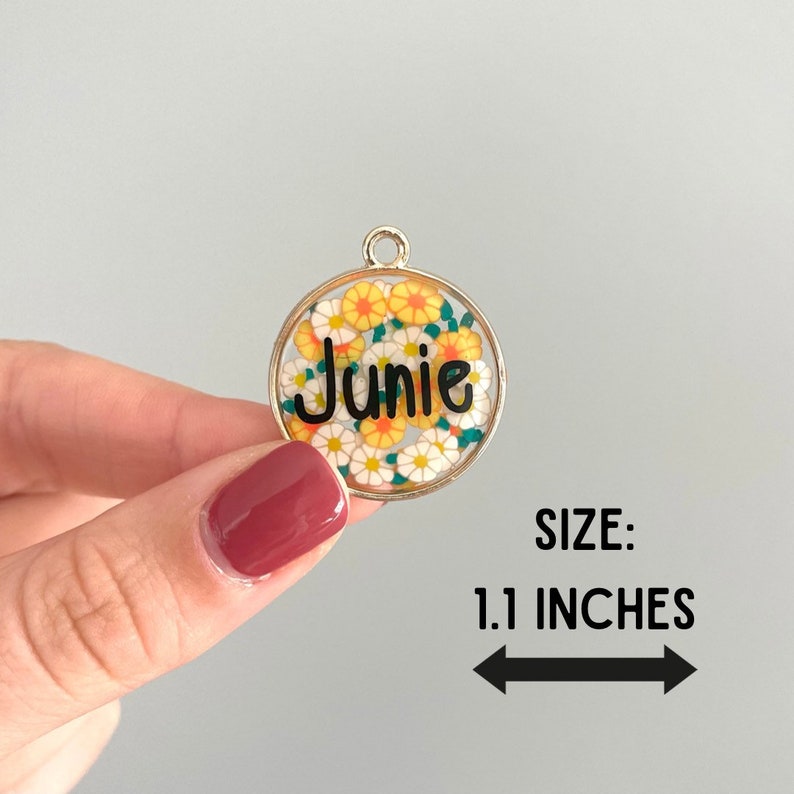 Metal Frame Pet Tags