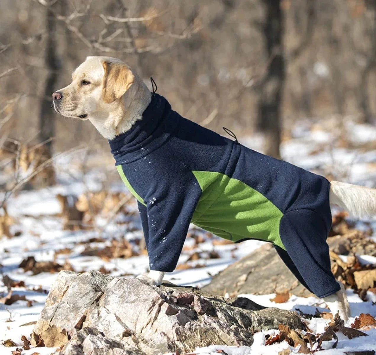 Aussie-Paws - Warm Dog Jacket