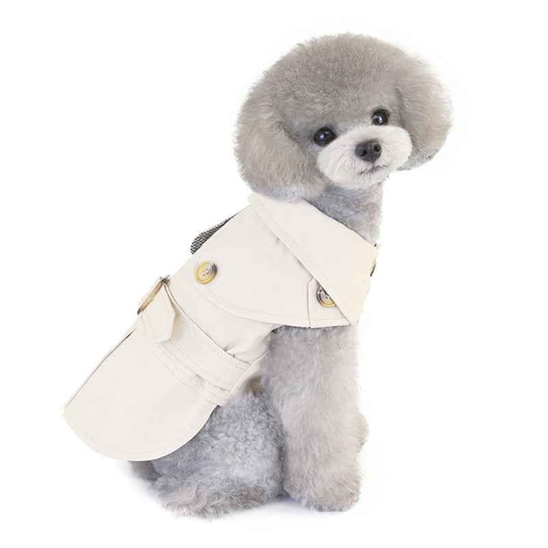 Elegant Winter Coat For Dogs