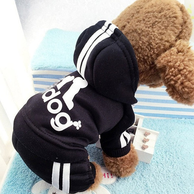Puppy 'Adidog' suit