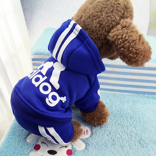 Puppy 'Adidog' suit