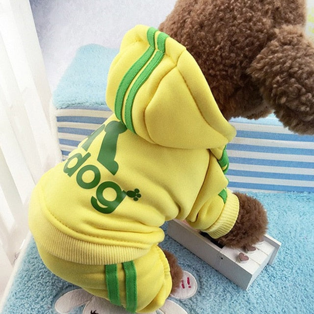 Puppy 'Adidog' suit