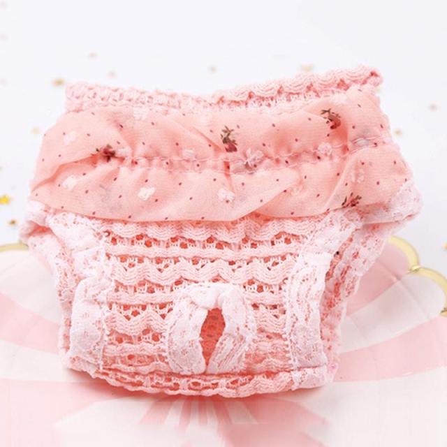 Dog Short Pants (Fruit Print)