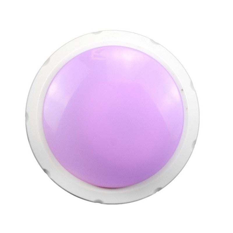 Interactive Dog Button