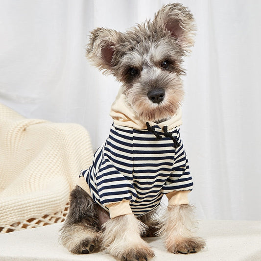Stripe Hoodie For Dogs